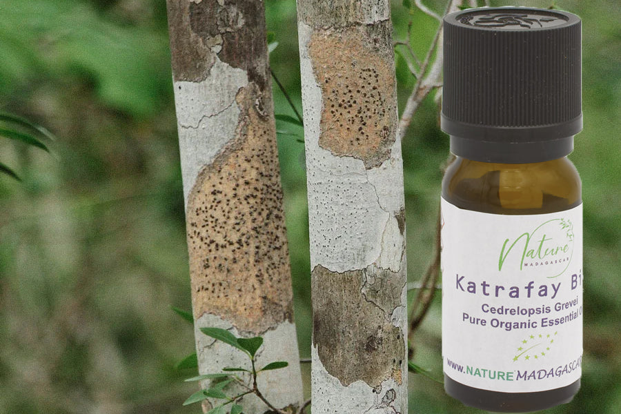 Katrafay organic essential oil