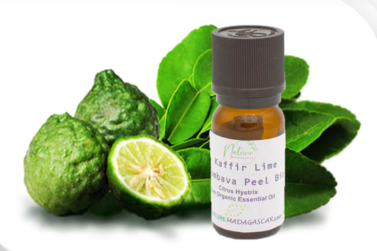 Aceite Esencial de Cáscara de Lima Kaffir Combava Orgánica