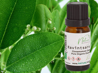 Ravintsara Organic Essential Oil