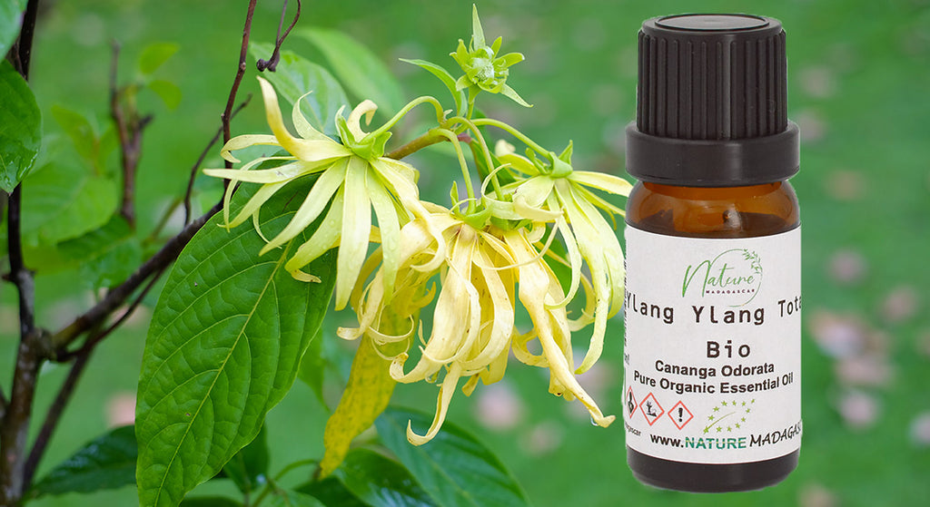 Ylang Ylang Totaal - Etherische Olie - Biologisch