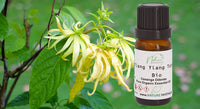 Ylang Ylang Total - Organic Essential Oil