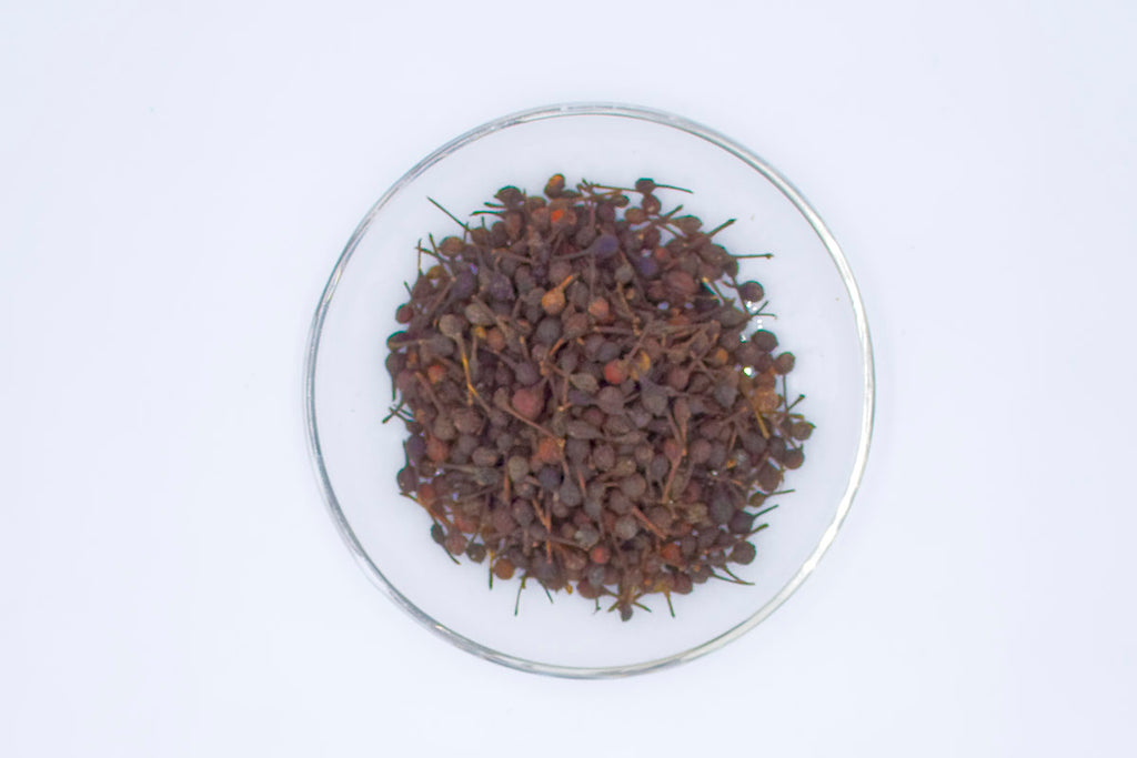 Organic wild Malagasy Pepper - Voatsiperifery  in grain