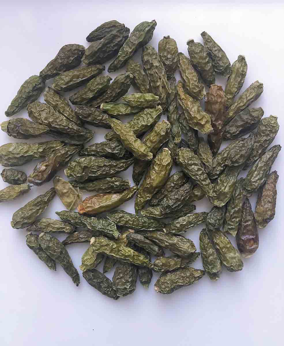 Piment Pili bec d'oiseau vert